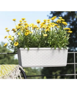 Dehner Kunststoff-Flechtkasten Dallas, Rechteckig -Haus Pflanzen Welt 2889723 WE FS 002 CasaMash weiss