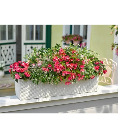 Dehner Kunststoff-Flechtkasten Dallas, Rechteckig -Haus Pflanzen Welt 2889822 2889723 WE MO 003 DehnerKunststoffFlechtkastenweiss