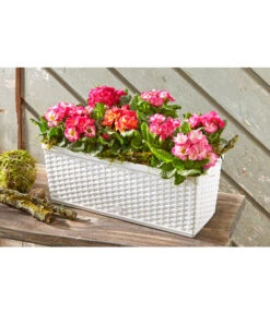 Dehner Kunststoff-Flechtkasten Dallas, Rechteckig -Haus Pflanzen Welt 2889822 WE MO 002 DehnerKunststoffFlechtkastenweissBlumentopf