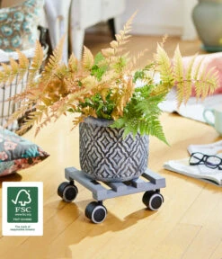 Wagner Pflanzenroller Creo, Ø 19 Cm 17 Wagner Pflanzenroller Creo, Ø 19 Cm -Haus Pflanzen Welt 2913945 WE MO 002 MULTIROLLERCREO