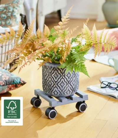 Wagner Pflanzenroller Creo, Ø 19 Cm -Haus Pflanzen Welt 2913945 WE MO 002 MULTIROLLERCREO