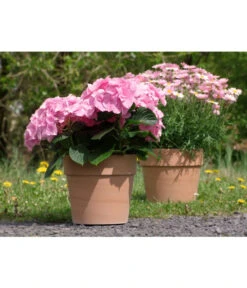 Spang Terrakotta-Pflanzgefäß Calima -Haus Pflanzen Welt 2919595 2919652 2919694 2919736 2919835 2919843 WE FS 001 TerrakottaTopfCalimaantik