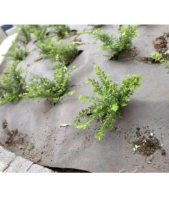 Dehner Rindenmulch-Unterlage, Ca. L300/B200 Cm -Haus Pflanzen Welt 3079696 BildM 002 RindenmulchUnterlageFuerDieGartenpflegeRindenmulchUnterlage2X3