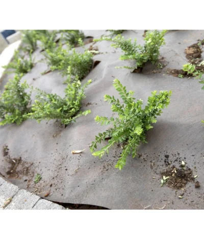 Dehner Rindenmulch-Unterlage, Ca. L300/B200 Cm 10 Dehner Rindenmulch-Unterlage, Ca. L300/B200 Cm -Haus Pflanzen Welt 3079696 BildM 002 RindenmulchUnterlageFuerDieGartenpflegeRindenmulchUnterlage2X3