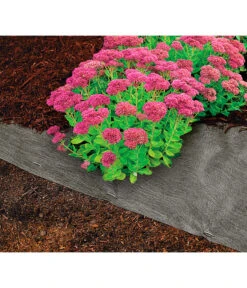 Dehner Rindenmulch-Unterlage, Ca. L300/B200 Cm -Haus Pflanzen Welt 3079696 WE MO 004 RindenmulchUnterlageMulchunterlageWurzelsperre