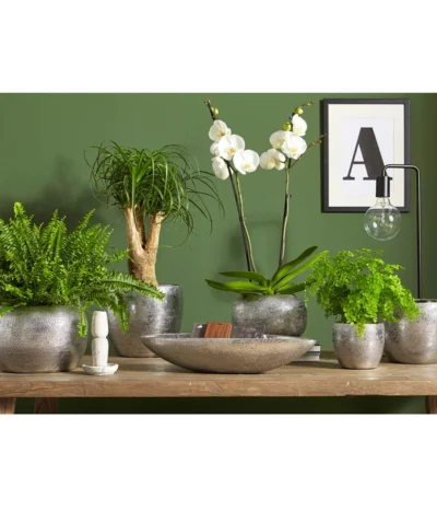 Dehner Keramik-Übertopf Rosella, Bauchig, Silber -Haus Pflanzen Welt 3136926 PR MO 003 KeramikSerieRosellaChromUveSauer