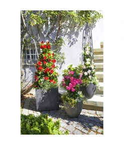 Dehner Polystone-Topf Brisbane In Riffeloptik, Rund -Haus Pflanzen Welt 3158847 3158870 3158888 3158995 3159092 3159126 WE MO 004 PolystoneTopfinRiffeloptikrundsand