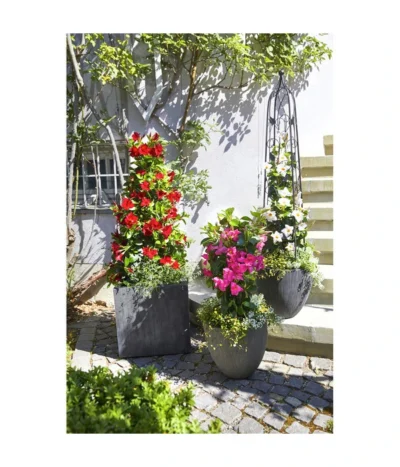 Dehner Polystone-Topf Brisbane In Riffeloptik, Rund 13 Dehner Polystone-Topf Brisbane In Riffeloptik, Rund -Haus Pflanzen Welt 3158847 3158870 3158888 3158995 3159092 3159126 WE MO 004 PolystoneTopfinRiffeloptikrundsand