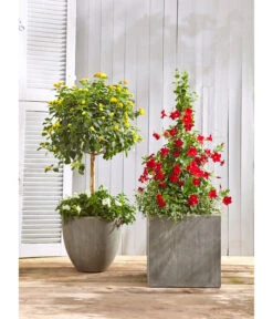 Dehner Polystone-Topf Brisbane In Riffeloptik, Rund -Haus Pflanzen Welt 3158847 3158870 3158888 WE MO 001 PolystoneTopfinRiffeloptikrundsand