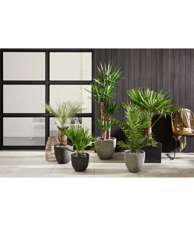 Dehner Polystone-Topf Brisbane In Riffeloptik, Rund 11 Dehner Polystone-Topf Brisbane In Riffeloptik, Rund -Haus Pflanzen Welt 3158847 3158870 3158888 WE MO 002 PolystoneTopfinRiffeloptikrundsand