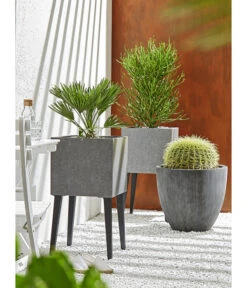 Dehner Polystone-Topf Brisbane In Riffeloptik, Rund -Haus Pflanzen Welt 3158847 3158870 3158888 WE MO 005 PolystoneTopfinRiffeloptik