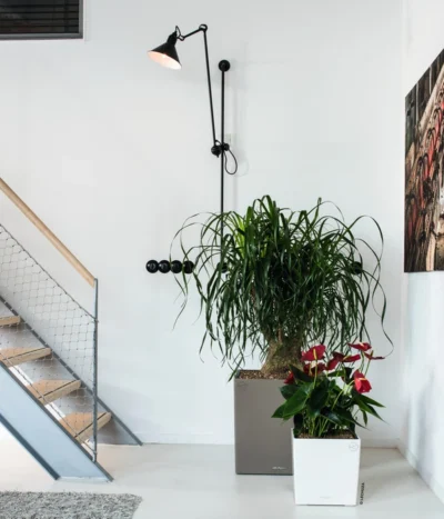 LECHUZA® CUBE, All-in-One Set 14 LECHUZA® CUBE, All-in-One Set -Haus Pflanzen Welt 3179850 3179637 WE MO 008 CubePremiumWeissTaupe