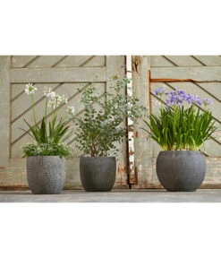 Dehner Polystone-Topf Kapstadt, Rund, Grau -Haus Pflanzen Welt 3207990 3208022 WE MO 002 DehnerPolystoneTopfbauchiggrau