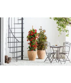 Terrakotta-Topf Perugia, Rund, Antik-terrakotta -Haus Pflanzen Welt 3315819 3315926 3315892 WE MO 006 TerrakottaPflanztopfantikrund