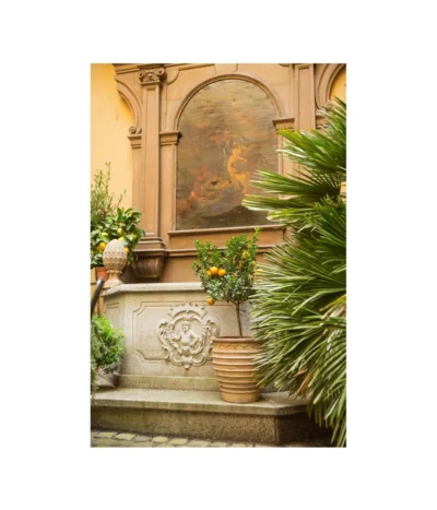 Terrakotta-Topf Perugia, Rund, Antik-terrakotta 17 Terrakotta-Topf Perugia, Rund, Antik-terrakotta -Haus Pflanzen Welt 3315926 3315892 3315819 WE MO 003 TerrakottaPflanztopfantikrund