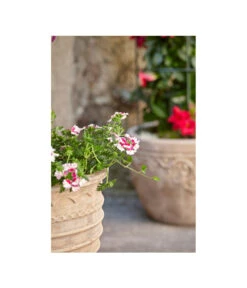 Terrakotta-Topf Perugia, Rund, Antik-terrakotta -Haus Pflanzen Welt 3315926 3315892 3315819 WE MO 004 TerrakottaPflanztopfantikrundBlumentopf