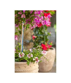 Terrakotta-Topf Perugia, Rund, Antik-terrakotta -Haus Pflanzen Welt 3315926 3315892 3315819 WE MO 005 TerrakottaPflanztopfantikrundBlumentopf