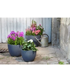 Dehner Leichtbeton-Pflanztopf Manchester, Rund, Antik-schwarz 10 Dehner Leichtbeton-Pflanztopf Manchester, Rund, Antik-schwarz -Haus Pflanzen Welt 3337151 3337169 3337136 3337144 WE MO 002 DehnerLeichtbetonPflanztopfantikschwarz