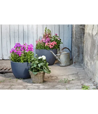 Dehner Leichtbeton-Pflanztopf Manchester, Rund, Antik-schwarz -Haus Pflanzen Welt 3337151 3337169 3337136 3337144 WE MO 003 DehnerLeichtbetonPflanztopfantikschwarz