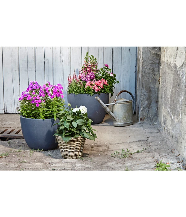 Dehner Leichtbeton-Pflanztopf Manchester, Rund, Antik-schwarz 6 Dehner Leichtbeton-Pflanztopf Manchester, Rund, Antik-schwarz – Bild 4