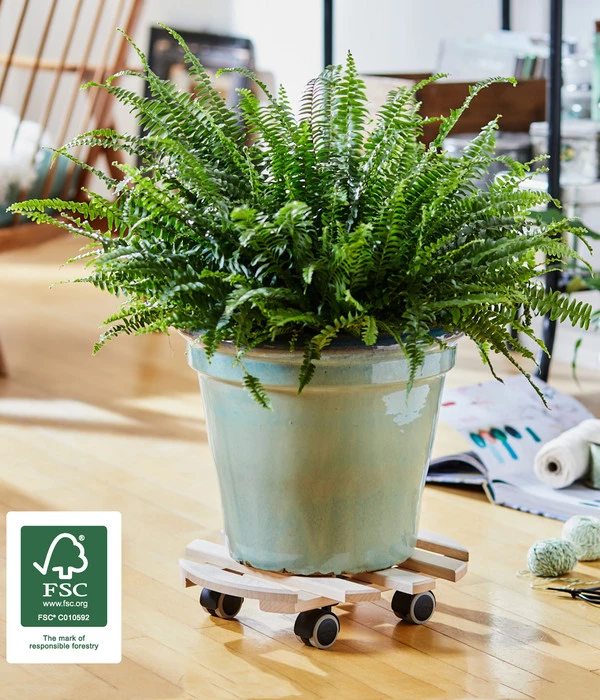 Wagner Multi-Pflanzenroller Rund, Ø 35 Cm 4 Wagner Multi-Pflanzenroller Rund, Ø 35 Cm – Bild 2