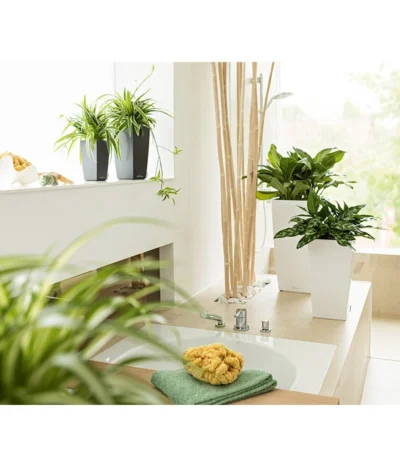 LECHUZA® MAXI/MINI-CUBI, All-in-One-Set -Haus Pflanzen Welt 3532264 3683836 2424984 3468618 WE MO 007 CubicoPremiumWeissMinIMaxiCubiAnthrazitNeu