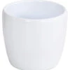 Hydro-Keramiktopf -Haus Pflanzen Welt 3557485 PR FS 001 Hydro KeramiktopfVenusWeiss13 12DehnerExpressHerzig