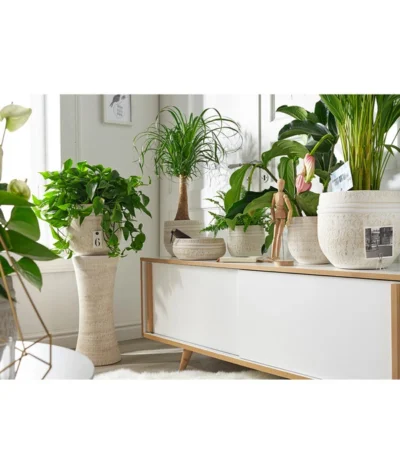 Dehner Keramik-Übertopf Rustika, Bauchig, Creme -Haus Pflanzen Welt 3622503 PR MO 002 KeramikTopfRustikaCreme