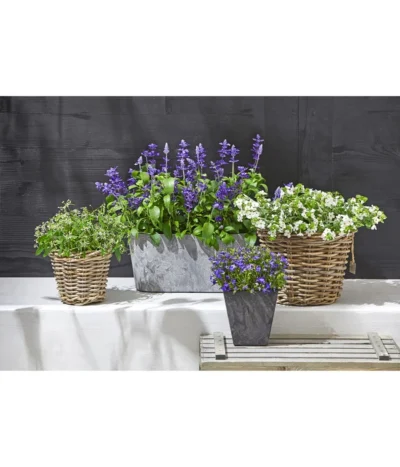 Artstone Kunststoff-Balkonkasten Claire 13 Artstone Kunststoff-Balkonkasten Claire -Haus Pflanzen Welt 3679347 5369905 1676006 WE MO 001 RattantopfArtstoneKunststoffTopfKastenClaire