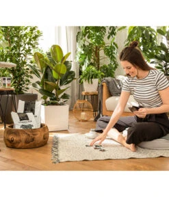 LECHUZA® PON Pflanzensubstrat 8 LECHUZA® PON Pflanzensubstrat -Haus Pflanzen Welt 3679685 4191144 4191342 3634003 WE MO 004 LechuzaPONNeu n