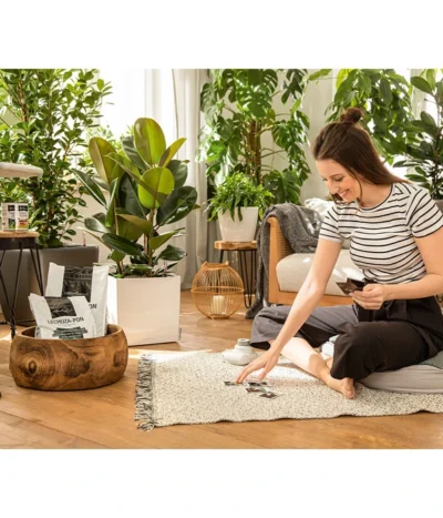 LECHUZA® PON Pflanzensubstrat -Haus Pflanzen Welt 3679685 4191144 4191342 3634003 WE MO 004 LechuzaPONNeu n