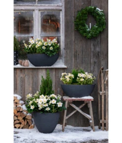 Dehner Kunststoff-Schale Miami, Oval, Anthrazit, Ca. B52/H20/T23 Cm 9 Dehner Kunststoff-Schale Miami, Oval, Anthrazit, Ca. B52/H20/T23 Cm -Haus Pflanzen Welt 3694254 3693926 WE MO 001 KunststoffTopfStonekonischanthrazit