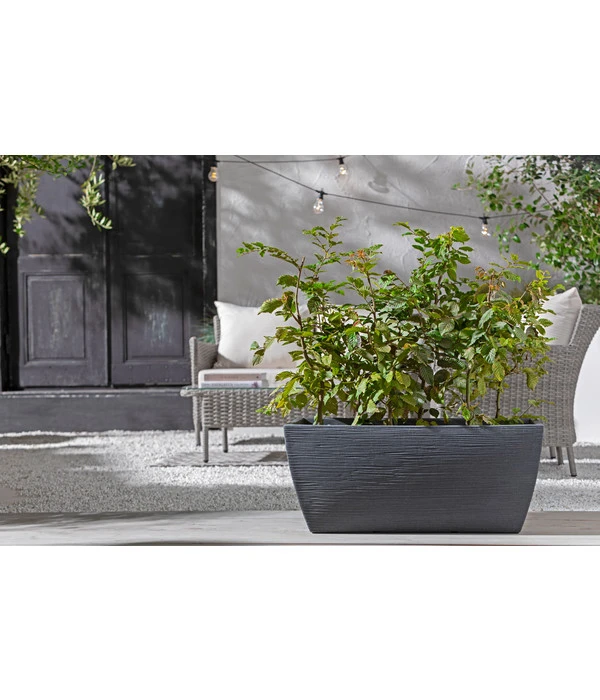 Kunststoff-Pflanzkasten Rille, Ca. B80/H34/T40 Cm, Anthrazit 5 Kunststoff-Pflanzkasten Rille, Ca. B80/H34/T40 Cm, Anthrazit – Bild 3