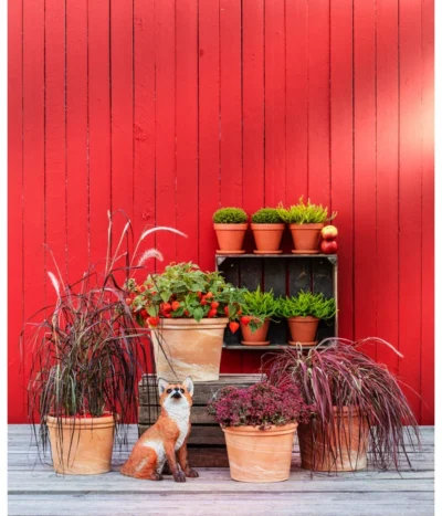 Spang Terrakotta-Topf Toscana, Rund -Haus Pflanzen Welt 3697612 WE MO 004 TerrakottaTopfToscanarund