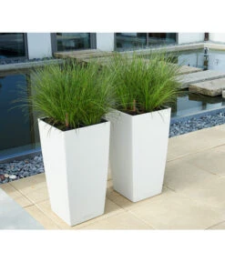 LECHUZA® CUBICO Color, All-in-One-Set -Haus Pflanzen Welt 3698362 BildM 001 LechuzaCubicoCubicoColor22KplWeiss