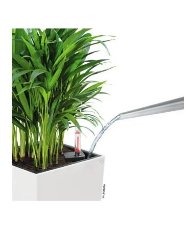 LECHUZA® CUBICO Color, All-in-One-Set 15 LECHUZA® CUBICO Color, All-in-One-Set -Haus Pflanzen Welt 3698362 WE DE 001 Cubicocolor22WeissLechuza