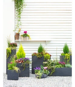 Dehner Kunststoff-Raumtrenner Palermo, Rechteckig, Anthrazit, Ca. B60/H60/T26 Cm 8 Dehner Kunststoff-Raumtrenner Palermo, Rechteckig, Anthrazit, Ca. B60/H60/T26 Cm -Haus Pflanzen Welt 3728110 3940764 3693611 WE MO 001 KunststoffPflanzkastenKubus 1