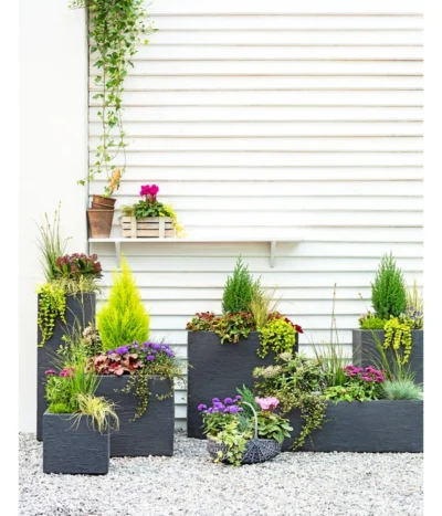 Dehner Kunststoff-Blumenkübel Palermo, Anthrazit -Haus Pflanzen Welt 3728110 3940764 3693611 WE MO 001 KunststoffPflanzkastenKubus