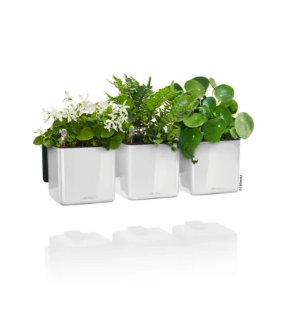 LECHUZA® CUBE Glossy Green Wall Home Kit, Ca. B48/H14/T15 Cm -Haus Pflanzen Welt 3767662 WE FS 003 CubeGlossyGreenWallHomeKitWeiss