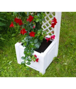 KHW Kunststoff-Pflanzkasten Mit Spalier, 43 X 43 X 140 Cm -Haus Pflanzen Welt 3913688 WE DE 004 KastenSpalier43weiss