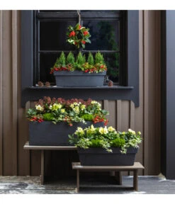 Efeu, Verschiedene Sorten -Haus Pflanzen Welt 3940764 PR MO 001 KunststoffKastenKubus