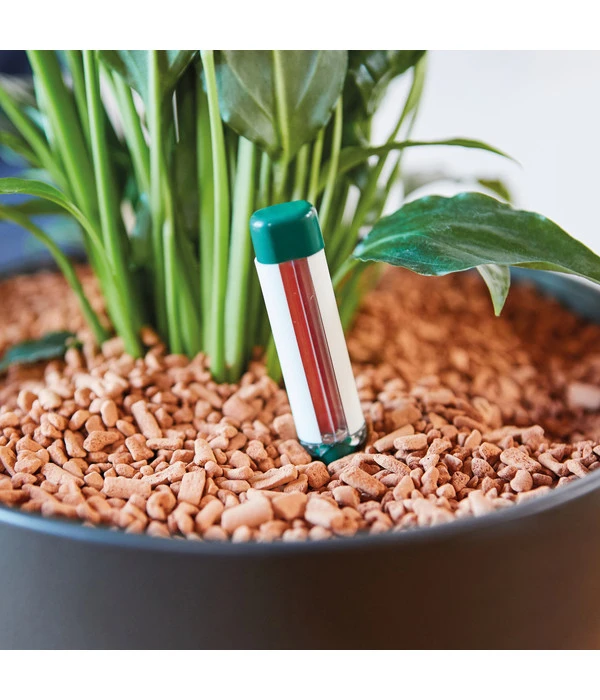 Seramis Gießanzeiger 8 Seramis Gießanzeiger – Bild 6