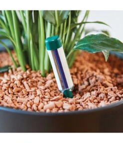 Seramis Gießanzeiger 15 Seramis Gießanzeiger -Haus Pflanzen Welt 394684 WE MO 004 SeramisGiessanzeiger 394692