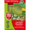 PROTECT GARDEN Loredo® Quattro Universal-Rasenunkrautfrei