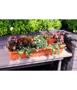 Geli Kunststoff-Blumenkasten Aqua Andalucia -Haus Pflanzen Welt 3955739 WE MO 002 GeliKunststoffBlumenkastenAquaAndaluciamitLangzeitbewaesseungssystem