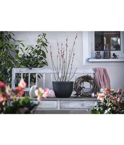 Kunststoff-Topf Padua, Rund 9 Kunststoff-Topf Padua, Rund -Haus Pflanzen Welt 3962933 WE MO 001 KunststoffTopfPadua