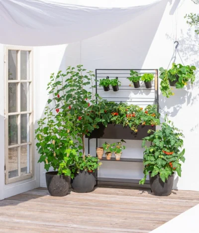 Kunststoff-Topf Padua, Rund 10 Kunststoff-Topf Padua, Rund -Haus Pflanzen Welt 3962933 WE MO 002 KunststoffTopfPaduarund