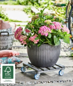 Wagner Pflanzroller, 40 X 40 Xm -Haus Pflanzen Welt 4006433 WE MO 002 MULTIROLLERANTHRAZIT