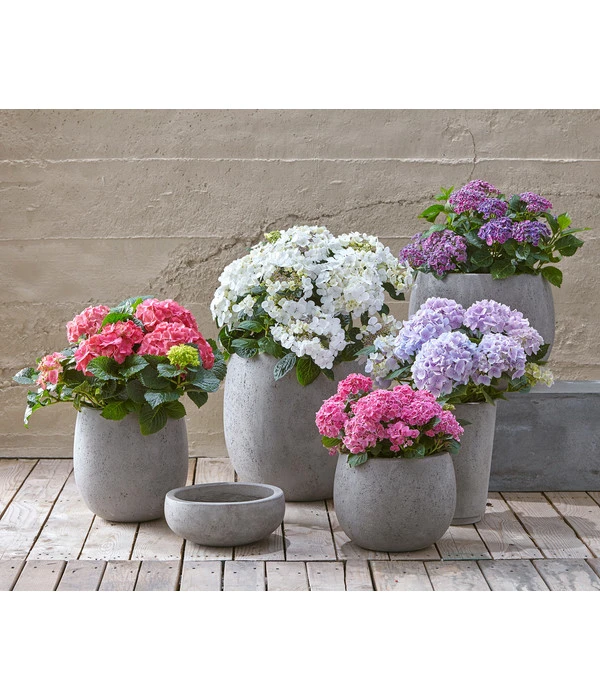 Dehner Leichtbeton-Topf Balloon Stone, Grau 6 Dehner Leichtbeton-Topf Balloon Stone, Grau – Bild 4