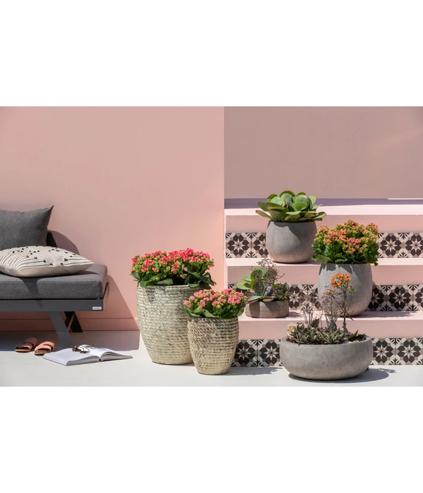 Dehner Leichtbeton-Topf Balloon Stone, Grau 9 Dehner Leichtbeton-Topf Balloon Stone, Grau – Bild 7